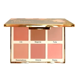 Artista Cinema Master Balance Hoho Makeup Palette